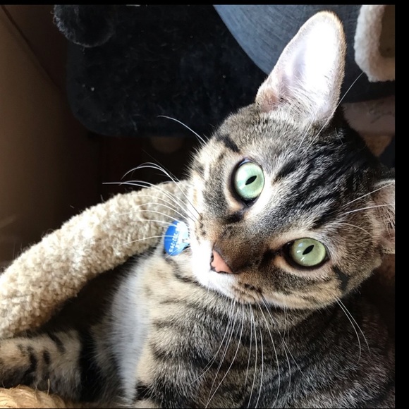 Meet your Posher, Kris - Picture 6 of 10